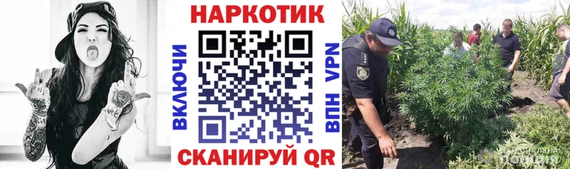 Где купить наркоту Великий Новгород Галлюциногенные грибы ГЕРОИН КЕТАМИН Меф мяу мяу ГАШИШ Марихуана A PVP АМФЕТАМИН