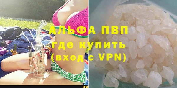 спайс Вяземский